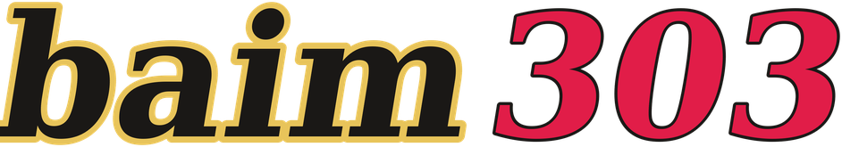baim303 logo